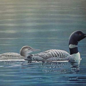 Robert Bateman-Muskoka Lake Common Loon