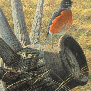 Robert Bateman-New Season American Robin