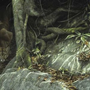 Robert Bateman-Path of the Panther