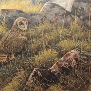 Robert Bateman-Prairie Evening Short Eared Owl