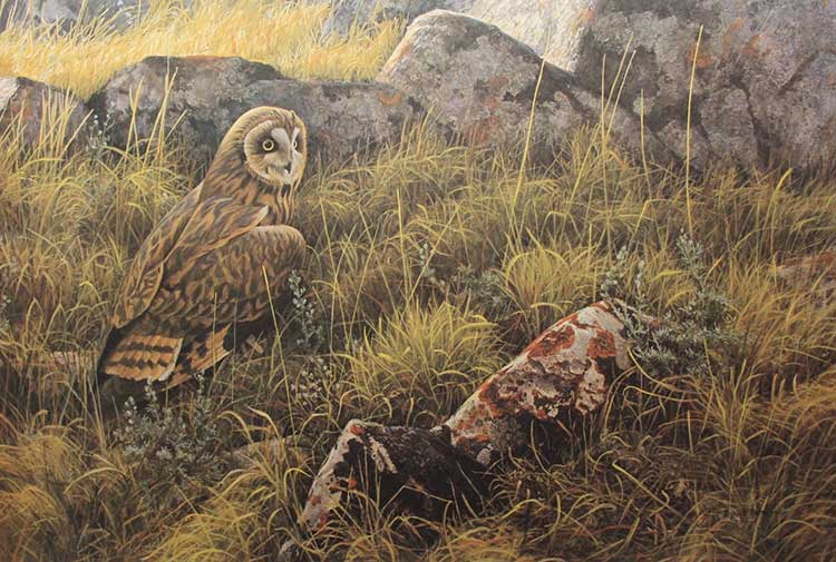 Robert Bateman-Prairie Evening Short Eared Owl