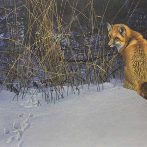 Robert Bateman-Red Fox on the Prowl