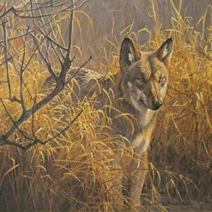 Robert Bateman-Red Wolf