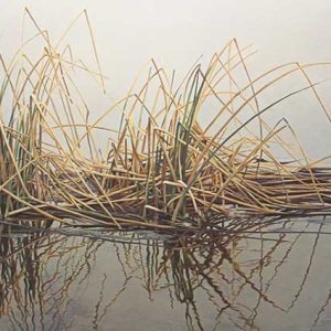 Robert Bateman-Reeds