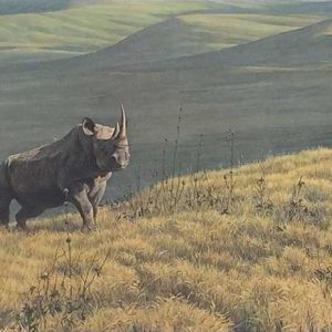 Robert Bateman - Rhino at Ngoro Ngoro