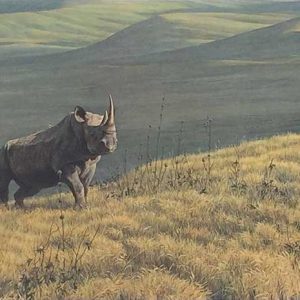 Robert Bateman-Rhino at Ngoro-Ngoro