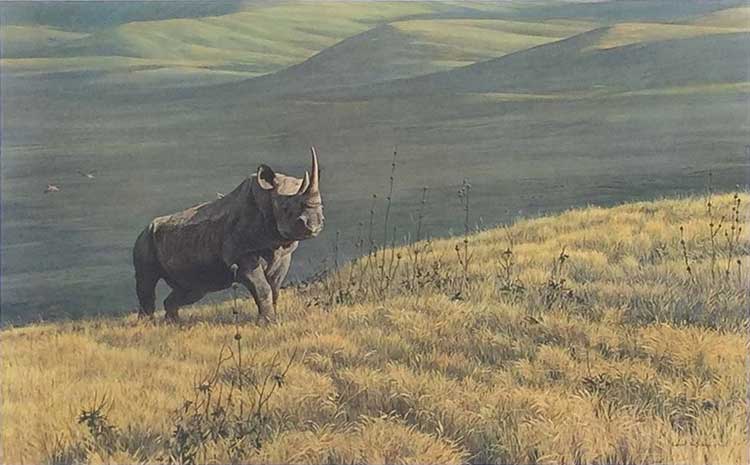 Robert Bateman-Rhino at Ngoro-Ngoro