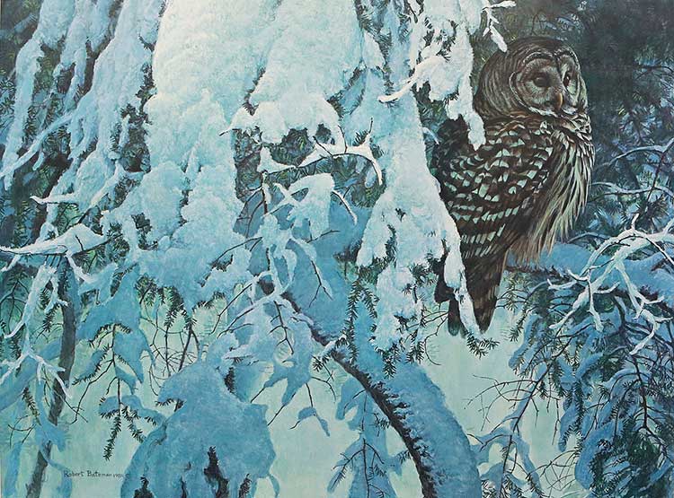Robert Bateman-Snowy Hemlock Barred Owl