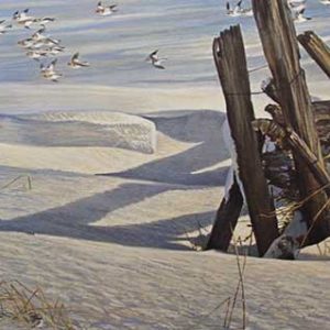 Robert Bateman-Split Rail Snow Bunting