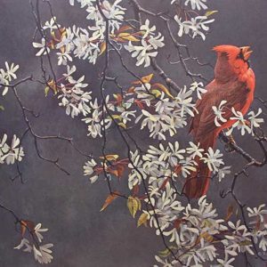 Robert Bateman-Spring Cardinal