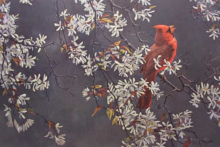 Robert Bateman-Spring Cardinal