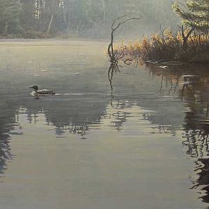 Robert Bateman-Summer Morning Loons