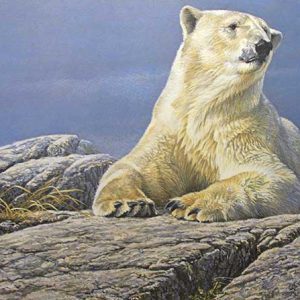 Robert Bateman-Summertime Polar Bear