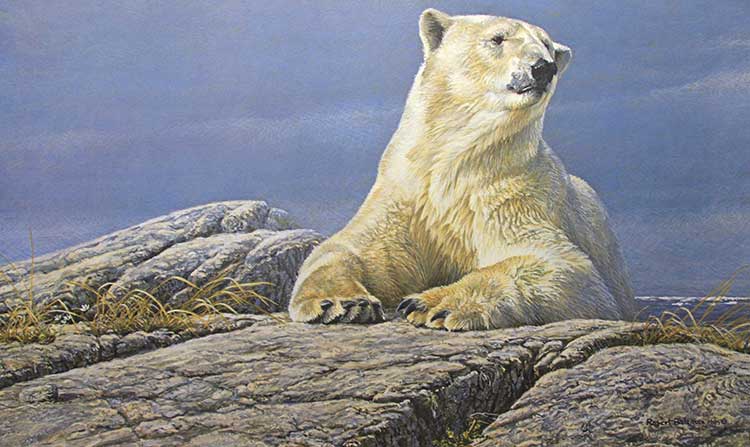 Robert Bateman-Summertime Polar Bear