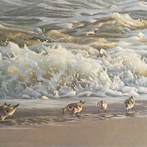 Robert Bateman-Surf and Sanderlings