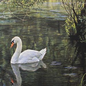 Robert Bateman-Sylvan Stream Mute Swan