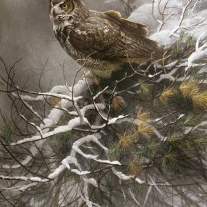 Robert Bateman-Winter Pine Great Horned Owl