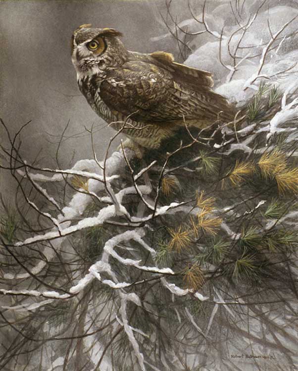 Robert Bateman - Winter Pine Great Horned Owl