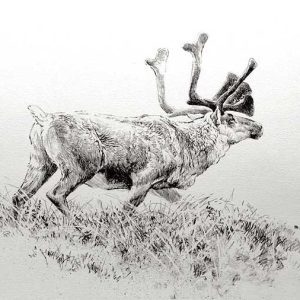 Robert Bateman-Woodland Caribou