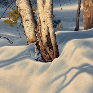 Robert Ross-Winter Birches