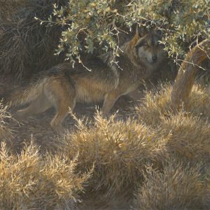 Robert Bateman - Sierra Evening - Mexican Wolf - Original Painting