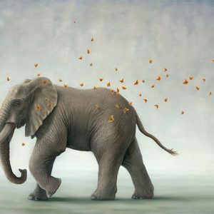 Robert Bissell-Hero