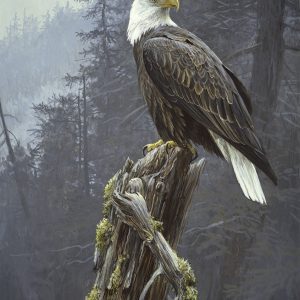 Robert Bateman-Coastal Majesty - Bald Eagle