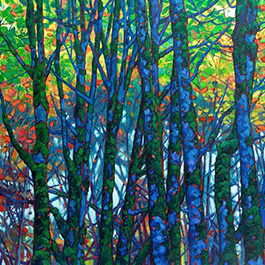 NaturesScene Art Gallery - Preserving Nature's Beauty on Canvas
