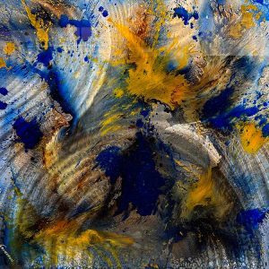 Jeff Vermeeren-Pagan Blueberries