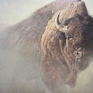 Robert Bateman-Chief American Bison