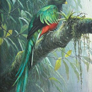 Robert Bateman-Quetzal