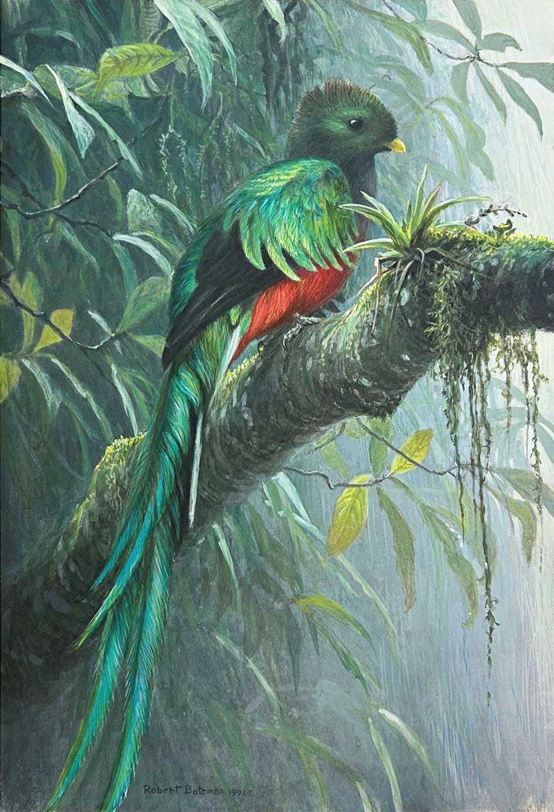 Robert Bateman-Quetzal
