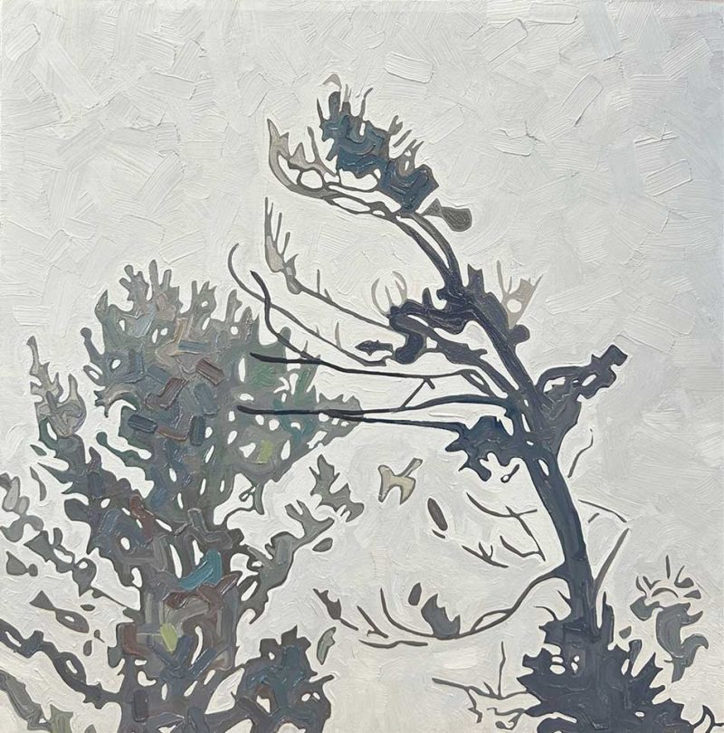 David Grieve-Jennys Trees