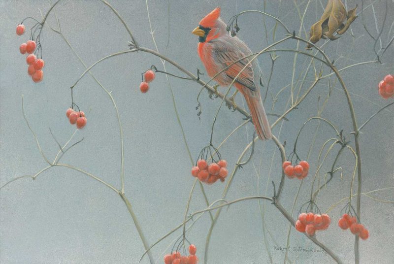 High Bush Cranberries Cardinal - Original Painting