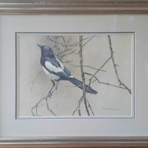 Magpie - Original Painting