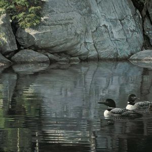 Robert Bateman - Northern Reflections - Loon Family