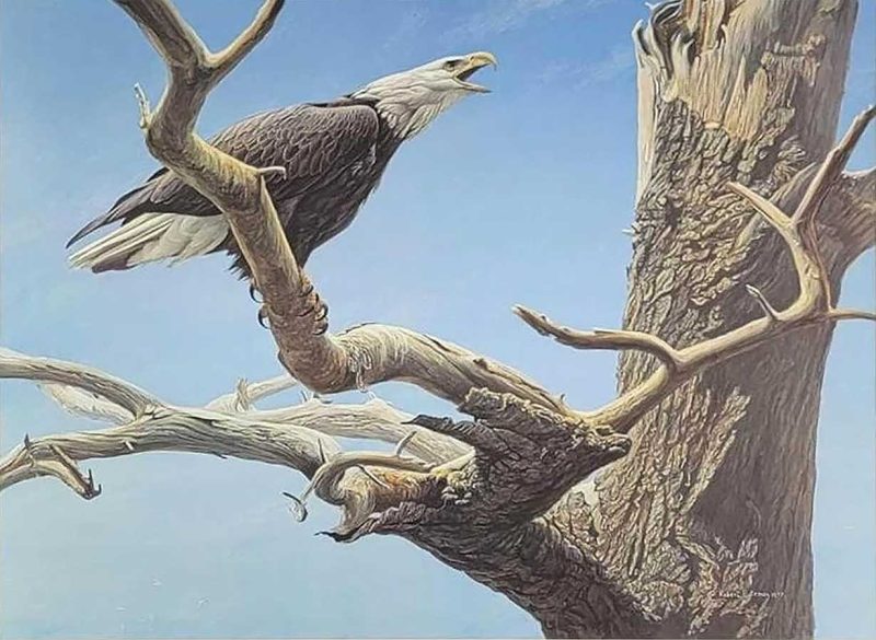 Robert Bateman - Call of the Wild