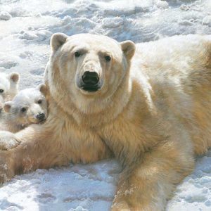 Carl Brenders - Mother Of Pearls