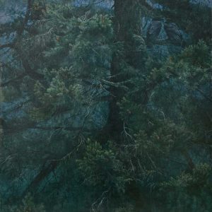 Robert Bateman - Raven Roost