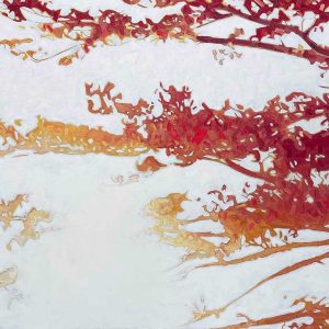David Grieve - Branch Out