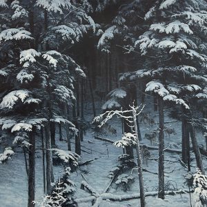 Robert Bateman - Descending Shadows