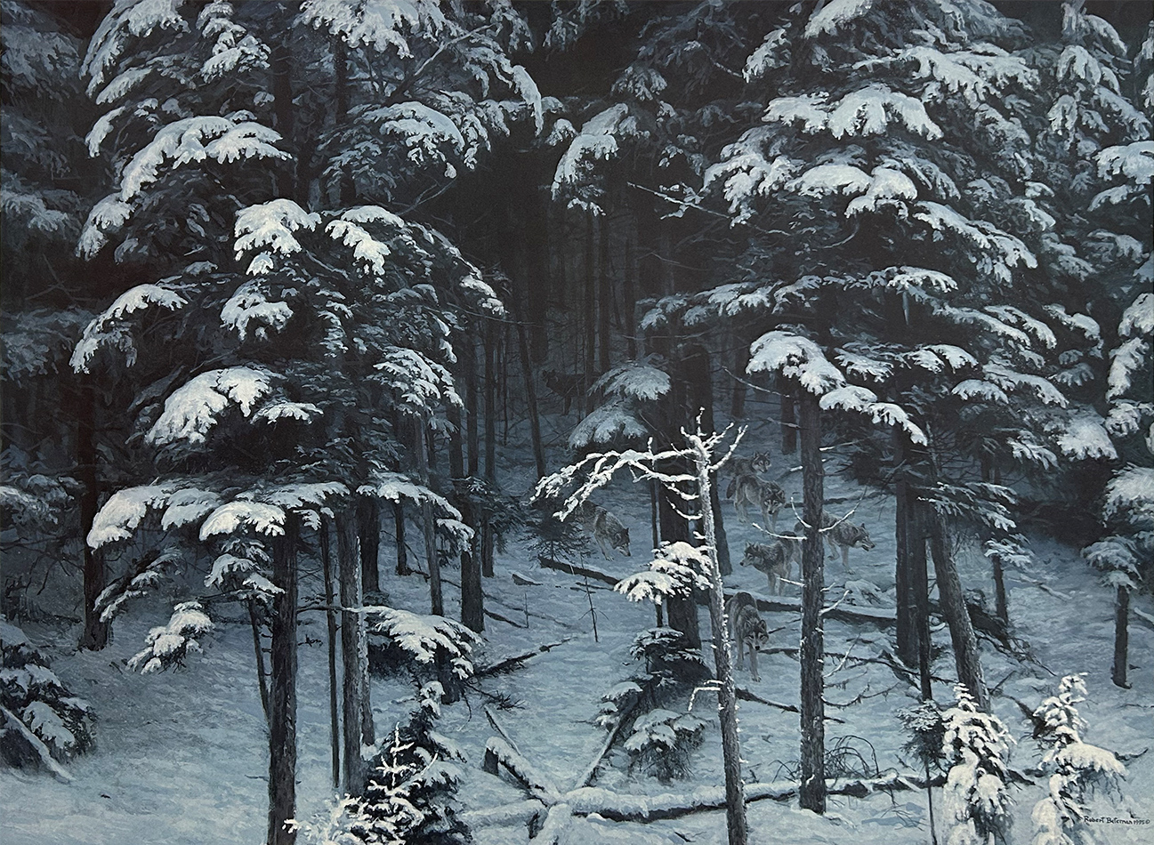 Robert Bateman - Descending Shadows