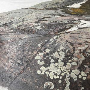 Peter Rotter - Canadian Shield