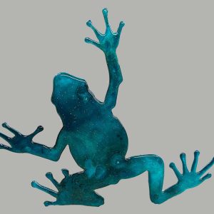 Jeff Vermeeren - Small Frog