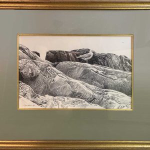 Robert Bateman - Gull on Rocks - Original Sketch