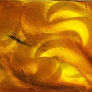 Jeff Vermeeren - Leo