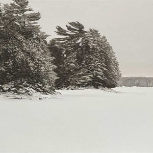 Peter Rotter - Twin Islands