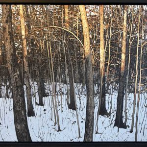 Peter Rotter - Winter Sunset