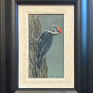 Robert Bateman - Pileated Woodpecker - Female