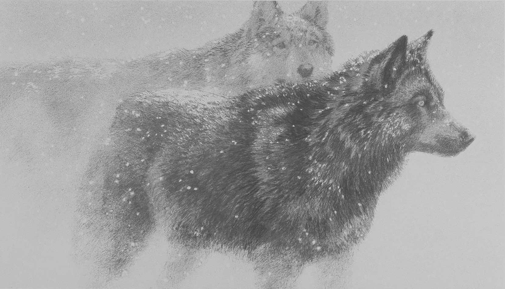 Robert Bateman - Wolf Pair in Winter
